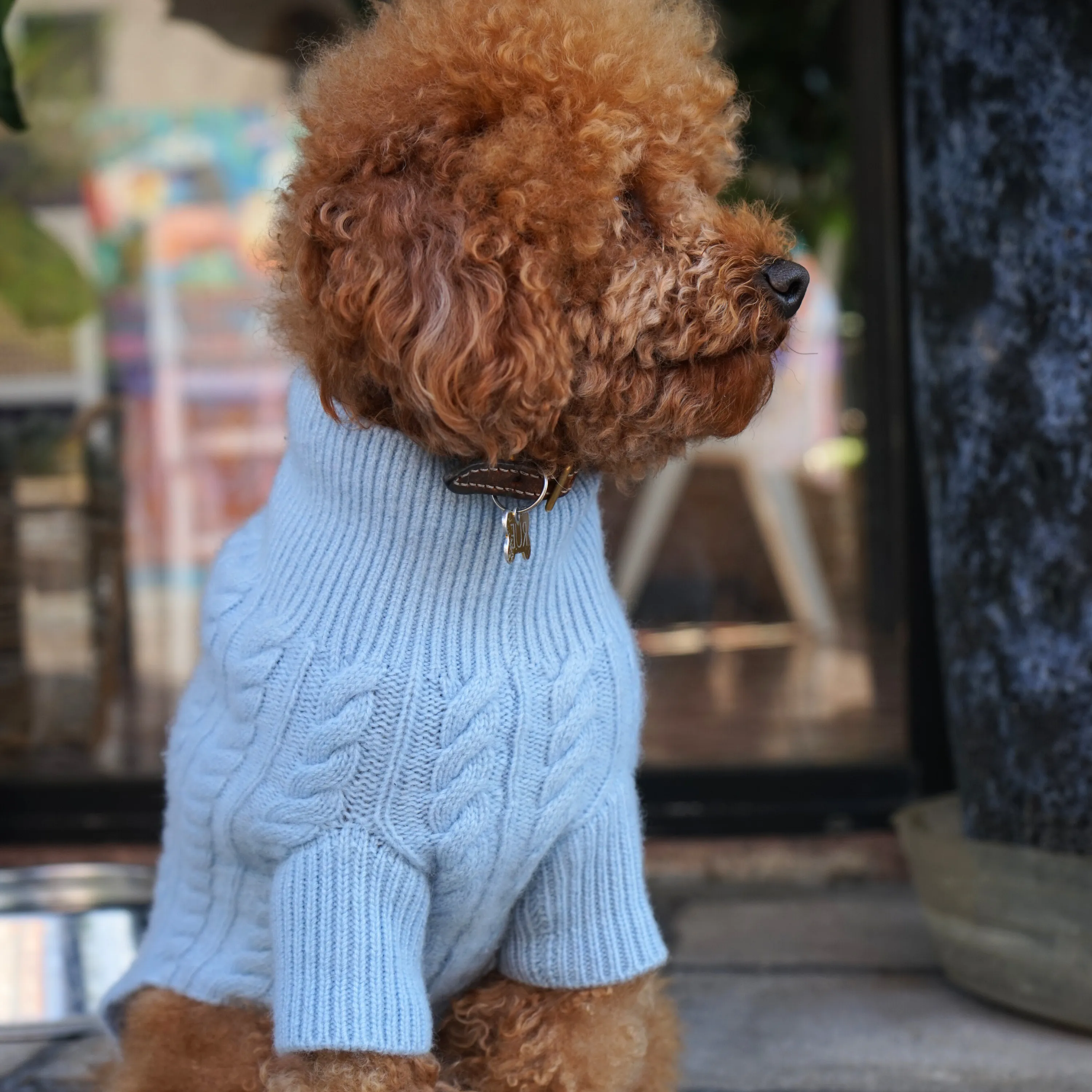 Cashmere Cable Knit Sweater